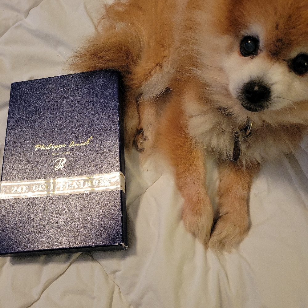 Philippe Amiel Pen and Card Holder 24K Gold Plating New in Original Box